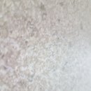 동아피아존2차 이미지