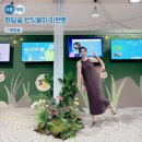 2025 화담숲 반딧불이 이벤트 완전 정복 후기! 여름밤의 반짝임