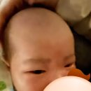 해피맘모유수유 | 6개월 완모맘의 모유수유 후기 / 완모, 젖양 늘리기 꿀팁부터 모유수유 장단점 등 정리!