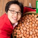 알찬유정란농장 이미지