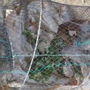 은골농장 이미지