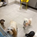 헬로우버디 판교밸리점 이미지