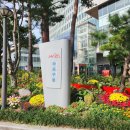 원패스 행정사사무소 이미지