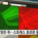 은덕한의원 이미지