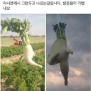 무대리 이미지
