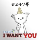 경희테라피요가