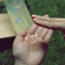 라벤더프렌즈 이미지