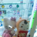 바른고기 정돈 이미지