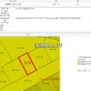 신사동-13 이미지