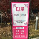 연진사주타로 | 경기 시흥 사주 잘 보는 곳을 찾고 계시다면 시흥신천역 프리즘타로 추천