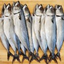 자반고등어 이미지