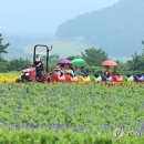 박지호농장 이미지