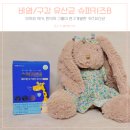 포헬라 이미지