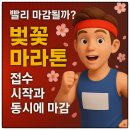 합천공설운동장 육상경기장 | 합천벚꽃마라톤 일정 접수 참가비 총정리