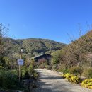 의령오리탕 이미지