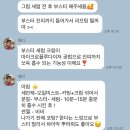 대구인셀덤x보타랩발라또 | 부산 인셀덤 / 트래블키트 체험 솔직 후기 (샘플 받는방법)