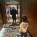 23년 안다즈마카오 2박3일