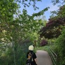 지석리(망향대 주차장) | 강화도 가볼 만한 곳, 언덕길이 예쁜 남북 1.8. 평화센터, 망향대