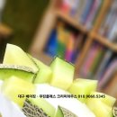 북비산초등학교병설유치원 이미지