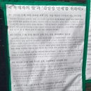 박근혜는 독재자의 딸 이것만 인정하면 되는데” 고려대에 부는 대자보 열풍 이미지