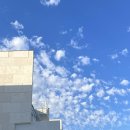 스테이가인1 이미지