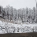 곰배령펜션 휴림 이미지