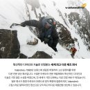 발란드레 곤조 시즌아웃 상상이상 으로 번개.!!! 이미지