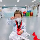 효성백호태권도장 이미지