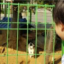 서창지구대 이미지