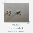 대동집 탕정점 | 탕정 시티프라디움 탄성코트 세탁실 베란다 곰팡이 차단 시공