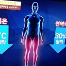 폐경,유방암,항암,면역력에 로열젤리 이미지