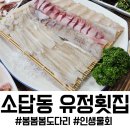 소답동055 | 창원 소답동 맛집 유정횟집, 봄 도다리 인생물회 재방문 후기