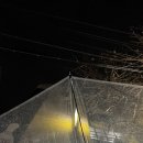 진여원 | 2025신년운세 부산 진여원 철학관 후기