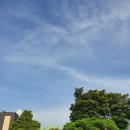 씨앤디의료소비자생활협동조합 펭귄의원 이미지