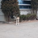 소구월사거리 이미지