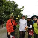 늘봄농장 이미지