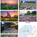 6월 울산 장생포 수국축제 놀러와~