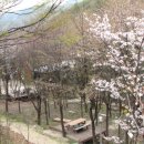 매봉산장 이미지