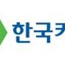 (주)한국카본