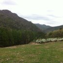 대로목장 이미지