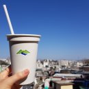 블루라이크