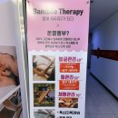 알파테라피 | 정발산역 등관리 더다옴, 뱀부테라피와 에너지테라피 후기