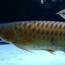 태식농장 이미지