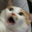 무주상지 이미지