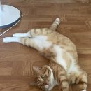 스테이80 이미지