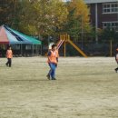 합기도세성관 이미지