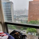 맘앤펫(Mom and Pet) | 밀레니엄 힐튼 서울 펫캉스 조식뷔페, 펫 조식, 포토존 알차다!