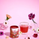 건강의향기 이미지