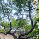 율곡빌딩 이미지