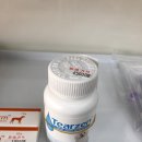 오창동물약국 이미지